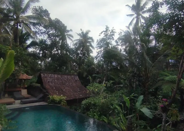 Sweet Orange Omah Homestay *